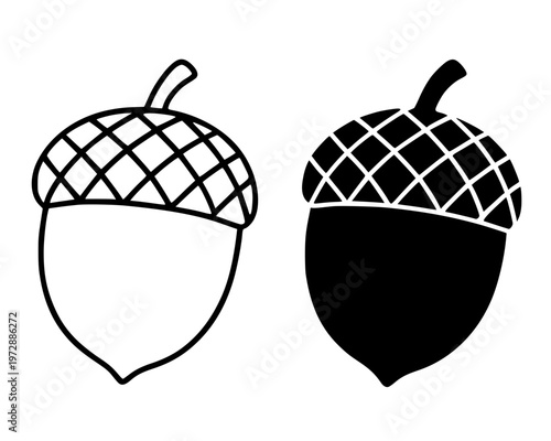Acorn minimalist icon, in outline and silhouette design, isolated on transparent background