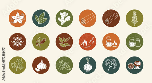 18 Culinary Herb and Spice Icons for Cooking, Menu Design, and Kitchen Branding; Includes Cinnamon, Ginger, Garlic, Chili, Vanilla, and Star Anise Vector Illustrations.