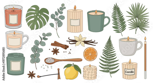 Hand-Drawn Scented Candle and Aromatherapy Illustration Set with Botanical Leaves, Spices, and Citrus Elements for Wellness and Home Fragrance Design