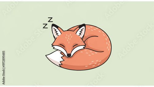 Sleeping Fox Curled Up Tightly Asleep.