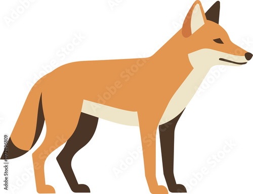 Illustration of a fox standing.