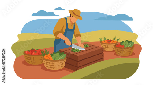 Farmer Harvesting and Preparing Fresh Organic Vegetables in a Field