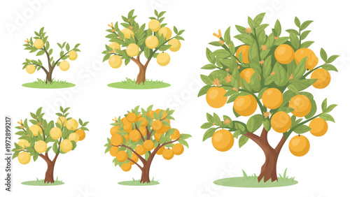 Four vibrant fruit trees with apples, oranges, and lemons growing in a garden setting