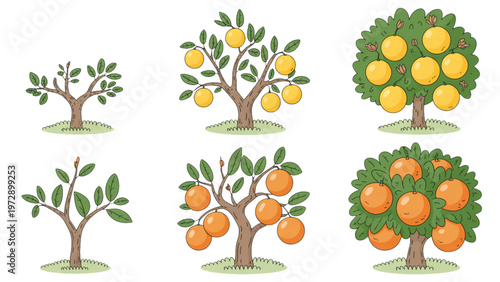 Four stylized trees with varying foliage and fruit illustrations