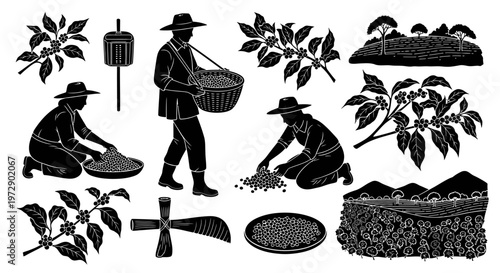 Coffee Farming Plantation Silhouette Farmer Harvest Vector Isolated on White