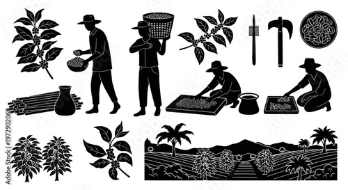 Coffee Farming Plantation Silhouette Farmer Harvest Vector Isolated on White