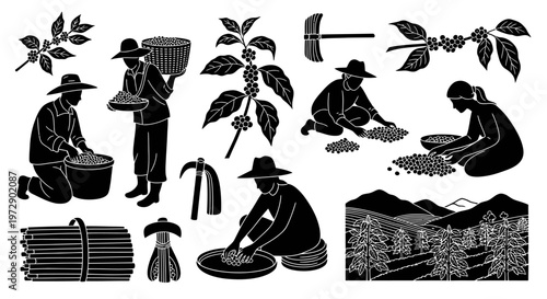 Coffee Farming Plantation Silhouette Farmer Harvest Vector Isolated on White