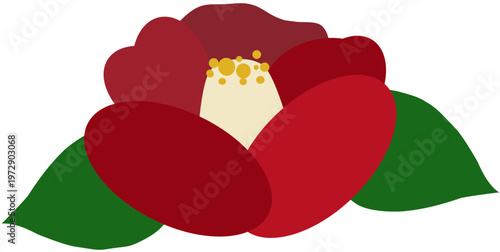 red camellia 붉은 동백