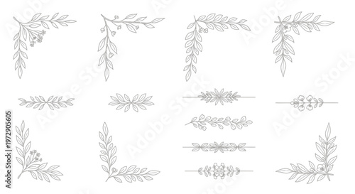 Botanical Line Drawings of Leaves.