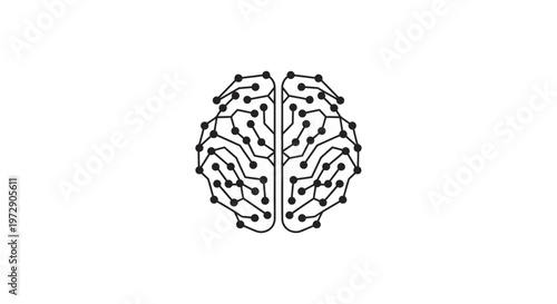 Brain Illustration Human Anatomy.