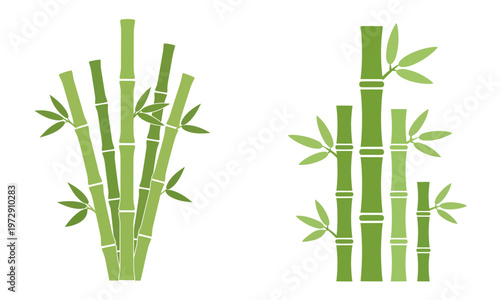 Two vector bamboo plants showcase a vivid display of tranquil serenity, capturing the essence of the natural world, World Bamboo Day