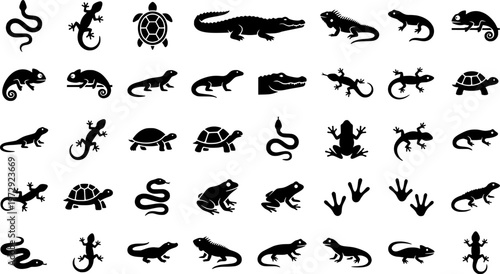 Black line drawings of reptiles including snakes, lizards, and turtles
