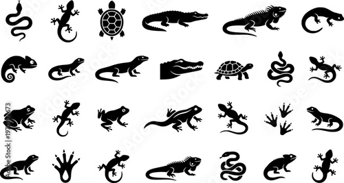 Black line drawings of reptiles including snakes, lizards, and turtles
