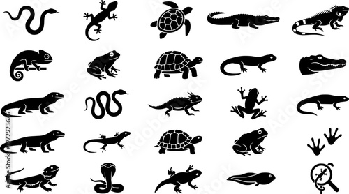 Black line drawings of reptiles including snakes, lizards, and turtles
