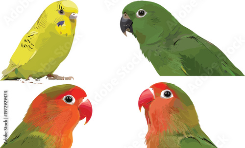 Budgerigar and Lovebird Parrot Heads Set Colorful Tropical Parakeet Bird Portraits Realistic Exotic Bird Illustration Collection