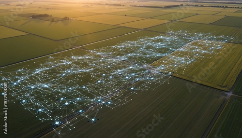 Aerial view of fields at dawn with a glowing digital network, representing the concept of smart farming technology, data insights, and sustainable agriculture future