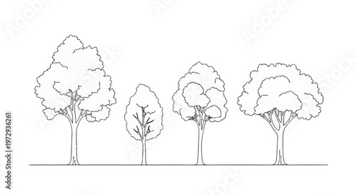 Minimalist set of four CAD style tree line drawings in elevation view, black and white architectural symbols for landscape site planning and garden design on a white background.
