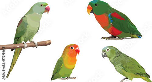 Tropical Parrot Birds Collection with Lovebirds and Green Parakeets Colorful Exotic Bird Illustration Set Perched on Branch