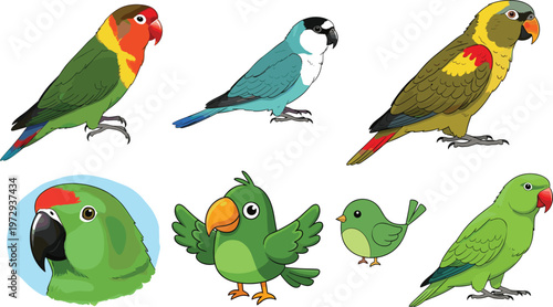 Cute and Realistic Parrot Birds Set with Lovebirds, Parakeets and Cartoon Green Parrot Characters Tropical Bird Illustration Collection