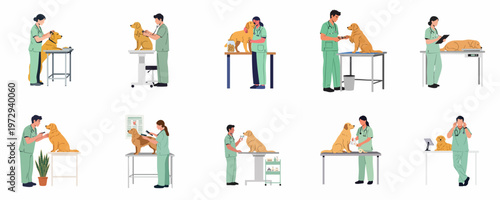 Set of vector illustrations depicting veterinarians in green scrubs performing various medical checkups and care routines on a golden retriever dog.