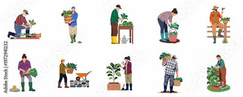 Diverse flat vector characters engaged in organic vegetable harvesting, gardening, and farming activities, isolated on a white background.