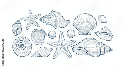 Collection of hand-drawn blue outline seashells and starfish including scallops, conch, spiral shells, and pearls isolated on a white background for marine and nautical themes.