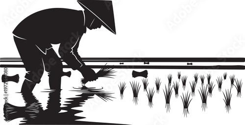 Black silhouette of farmer planting rice in flooded field with conical hat