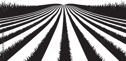 Black and white of a plowed field with grassy rows