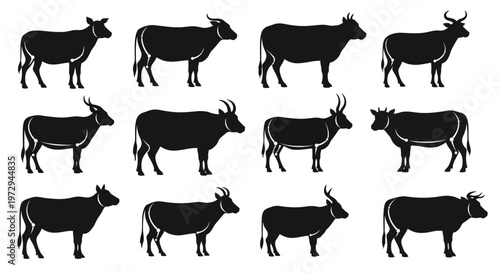 Collection of Black Cow Silhouettes on White Background, Various Breeds and Poses