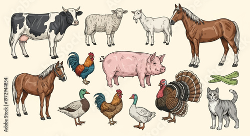 Hand drawn collection of farm animal illustrations including a dairy cow, horses, pig, sheep, goat, turkey, roosters, duck, goose, and a domestic tabby cat on a neutral background.