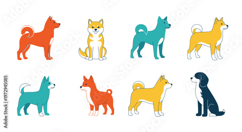 Shiba Inu Dogs Collection, Cute Cartoon Animals, Various Colors, Flat Design
