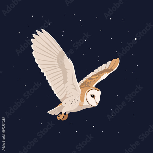 Barn Owl in Flight at Night.