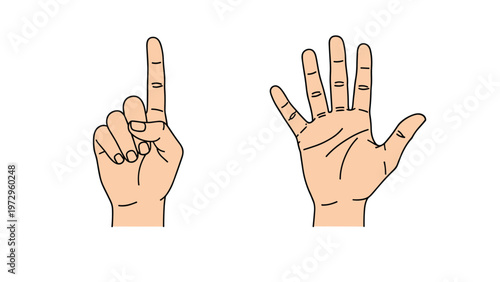Line art illustrations of two hands showing one finger and five fingers respectively to represent counting and simple hand gestures.