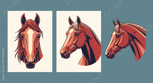 Three stylized chestnut horse head illustrations showing frontal, three-quarter, and side profile views with white blaze markings and dark manes on a blue-grey background.