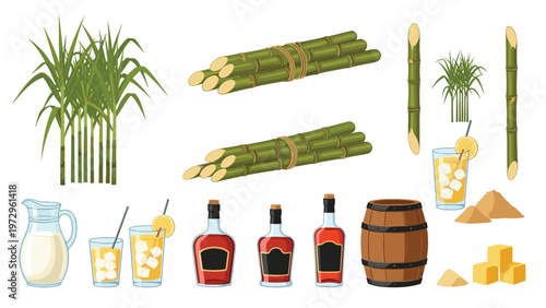 Sugarcane products and harvest elements including raw stalks juice rum in bottles sugar cubes and barrels for agricultural concepts.