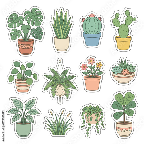 a collection of potted plants and cacti.