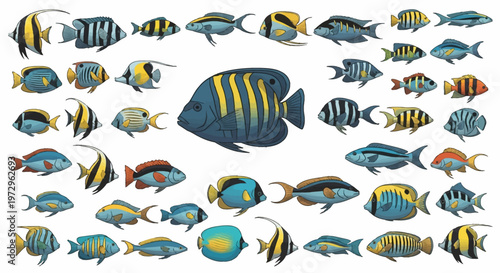 Large collection of various tropical saltwater fish species illustrations including moorish idols, angelfish, butterflyfish, and tangs, isolated on a white background for marine life.