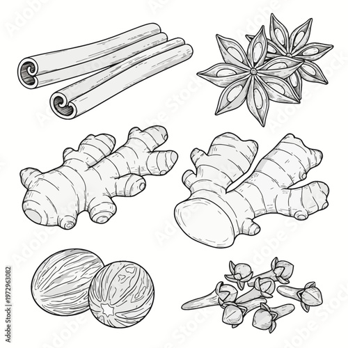 Set of hand-drawn spice illustrations featuring cinnamon sticks, star anise pods, fresh ginger roots, whole nutmeg seeds, and dried cloves. Black and white botanical line art style.