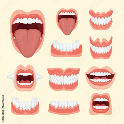 Vector illustration collection showing human mouth anatomy including open mouths with tongues, full dental sets, white teeth, pink gums, and prosthetic dentures for medical education.