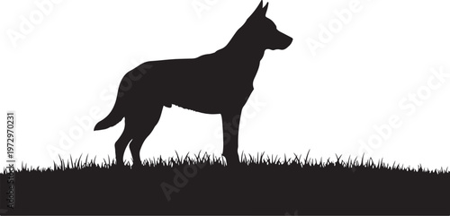 Black silhouette of german shepherd dog standing on grass