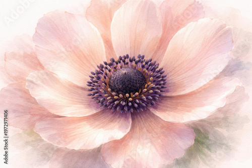 Soft watercolor close up of peach pink flower with delicate petals and detailed center, dreamy pastel tones and elegant botanical natural background