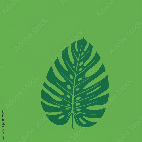 Minimalist vector illustration featuring a single dark green Monstera deliciosa leaf with characteristic splits and holes centered on a solid light green background. Tropical foliage.