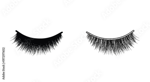A pair of black false eyelashes displayed against a white background