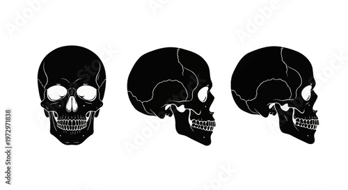 Set of three black human skull silhouettes featuring frontal and profile side views with detailed white line accents for teeth and sutures isolated on a plain white background.