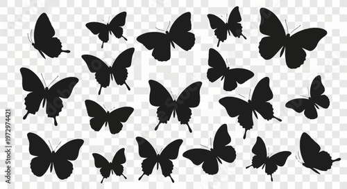Collection of black butterfly silhouettes with various wing shapes and sizes. Detailed lepidoptera outlines in different flight positions isolated on a transparent background.
