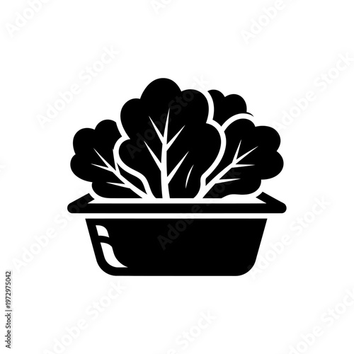 Hydroponic Lettuce Clamshell Silhouette for Retail Grocery Packaging