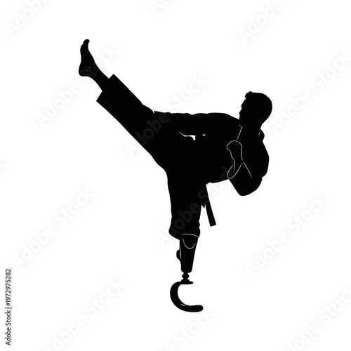 Adaptive Martial Artist High Kick Silhouette for Discipline and Strength