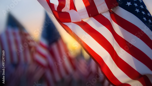 American Flags in the Golden Hour: A captivating display of American flags, bathed in the warm, golden light of either sunrise or sunset, evokes feelings of patriotism and pride. 