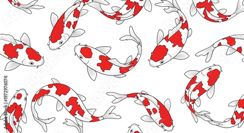 Colorful Koi Fish Swimming Together.