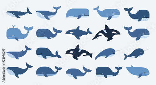 Collection of Whale and Dolphin Silhouettes.